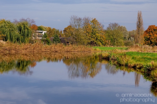 Fall_scenery_Autumn_in_Amsterdam_nature_Netherlands_Landscape_Photography_032_Canon_EOS_5D_Mark_IV.JPG
