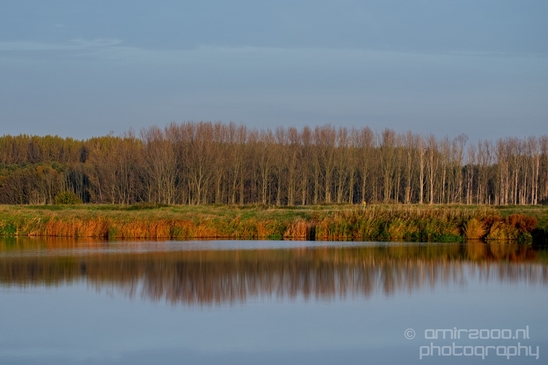 Fall_scenery_Autumn_in_Amsterdam_nature_Netherlands_Landscape_Photography_035_Canon_EOS_5D_Mark_IV.JPG