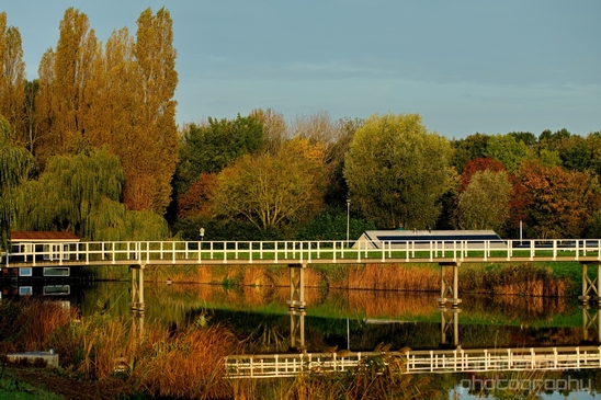 Fall_scenery_Autumn_in_Amsterdam_nature_Netherlands_Landscape_Photography_038_Canon_EOS_5D_Mark_IV.JPG