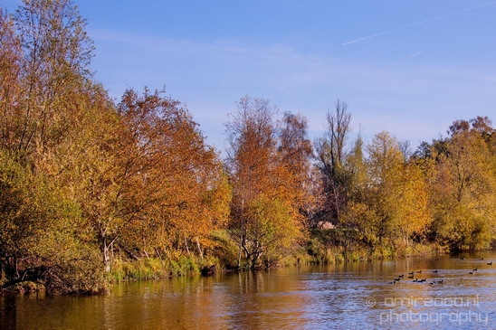 Fall_scenery_Autumn_in_Amsterdam_nature_Netherlands_Landscape_Photography_045_Canon_EOS_5D_Mark_IV.JPG