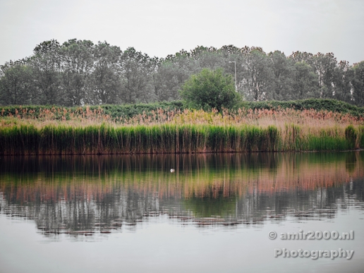 Flevopark_Nature_scenery_at_Amsterdam_Nature_Landscape_Photography_Canon_5D_Mark_IV_002.JPG