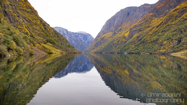 From_Naeroyfjord_to_Flam_the_beauty_of_Fjords_Norwegian_nature_landscape_Photography_009_Canon_EOS_5D_Mark_IV.JPG