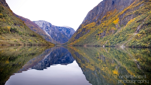 From_Naeroyfjord_to_Flam_the_beauty_of_Fjords_Norwegian_nature_landscape_Photography_011_Canon_EOS_5D_Mark_IV.JPG