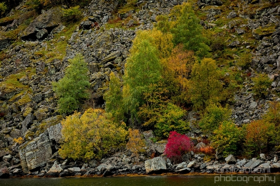 From_Naeroyfjord_to_Flam_the_beauty_of_Fjords_Norwegian_nature_landscape_Photography_043_Canon_EOS_5D_Mark_IV.JPG