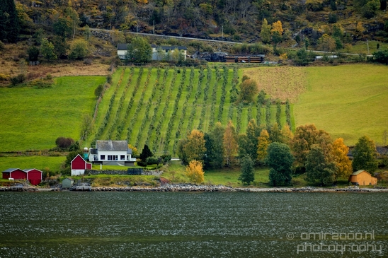 From_Naeroyfjord_to_Flam_the_beauty_of_Fjords_Norwegian_nature_landscape_Photography_052_Canon_EOS_5D_Mark_IV.JPG