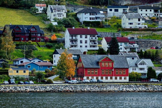 From_Naeroyfjord_to_Flam_the_beauty_of_Fjords_Norwegian_nature_landscape_Photography_054_Canon_EOS_5D_Mark_IV.JPG