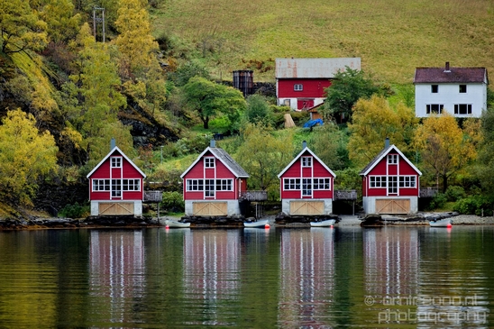 From_Naeroyfjord_to_Flam_the_beauty_of_Fjords_Norwegian_nature_landscape_Photography_061_Canon_EOS_5D_Mark_IV.JPG