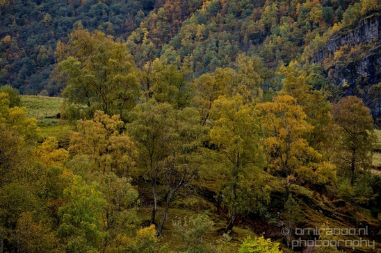 From_Naeroyfjord_to_Flam_the_beauty_of_Fjords_Norwegian_nature_landscape_Photography_063_Canon_EOS_5D_Mark_IV.JPG