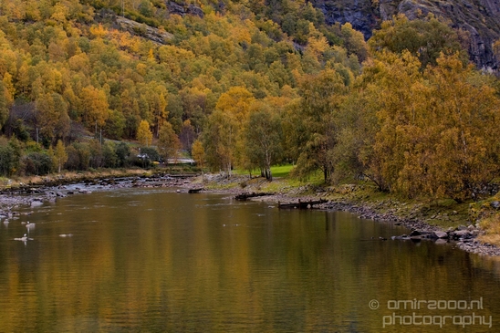 From_Naeroyfjord_to_Flam_the_beauty_of_Fjords_Norwegian_nature_landscape_Photography_067_Canon_EOS_5D_Mark_IV.JPG