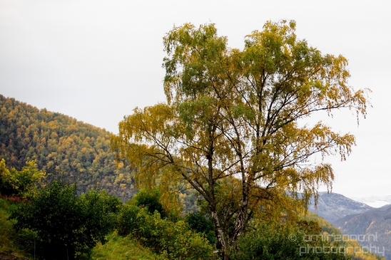 From_Naeroyfjord_to_Flam_the_beauty_of_Fjords_Norwegian_nature_landscape_Photography_079_Canon_EOS_5D_Mark_IV.JPG