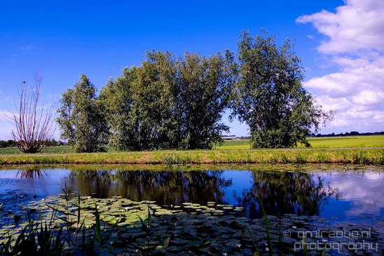 Gein_zuid_Dutch_landscape_nederlandse_landschap_spring_lente_nature_Photography_003_Canon_EOS_5D_Mark_IV.JPG