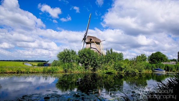 Gein_zuid_Dutch_landscape_nederlandse_landschap_spring_lente_nature_Photography_004_Canon_EOS_5D_Mark_IV.JPG