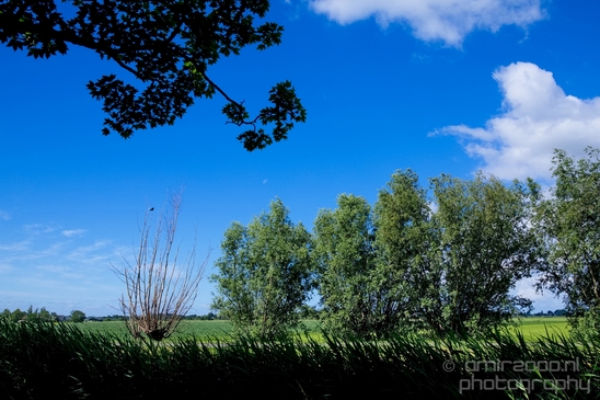 Gein_zuid_Dutch_landscape_nederlandse_landschap_spring_lente_nature_Photography_005_Canon_EOS_5D_Mark_IV.JPG