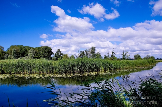 Gein_zuid_Dutch_landscape_nederlandse_landschap_spring_lente_nature_Photography_006_Canon_EOS_5D_Mark_IV.JPG