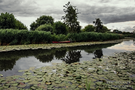Gein_zuid_Dutch_landscape_nederlandse_landschap_spring_lente_nature_Photography_014_Canon_EOS_5D_Mark_IV.JPG