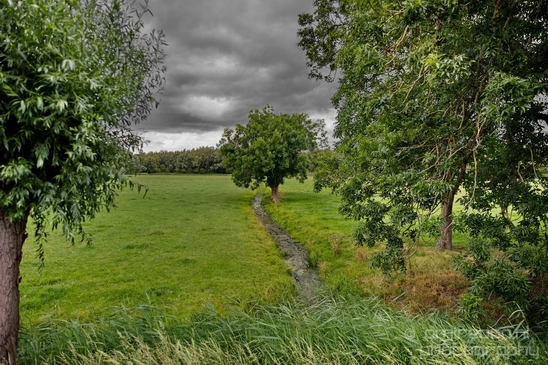 Gein_zuid_Dutch_landscape_nederlandse_landschap_spring_lente_nature_Photography_017_Canon_EOS_5D_Mark_IV.JPG