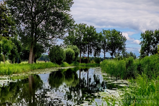 Gein_zuid_Dutch_landscape_nederlandse_landschap_spring_lente_nature_Photography_023_Canon_EOS_5D_Mark_IV.JPG