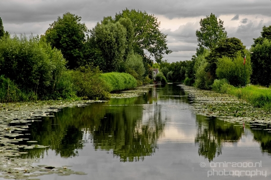 Gein_zuid_Dutch_landscape_nederlandse_landschap_spring_lente_nature_Photography_024_Canon_EOS_5D_Mark_IV.JPG