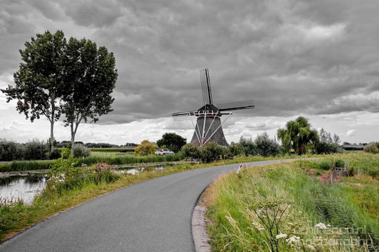 Gein_zuid_Dutch_landscape_nederlandse_landschap_spring_lente_nature_Photography_028_Canon_EOS_5D_Mark_IV.JPG
