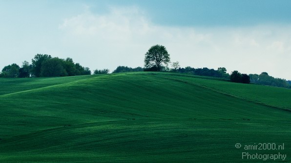 Green_Field_Landscape_Photography_001_Canon_EOS_7D.JPG