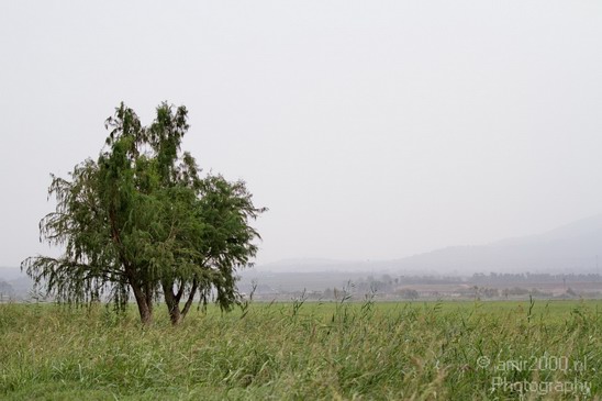 Hula_Valley_Landscape_view_Nature_Photography_001_Canon_EOS_7D.JPG