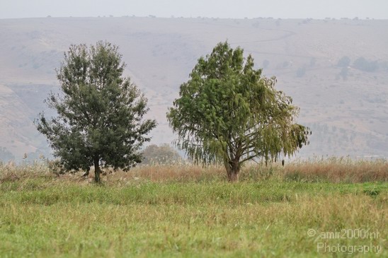 Hula_Valley_Landscape_view_Nature_Photography_008_Canon_EOS_7D.JPG