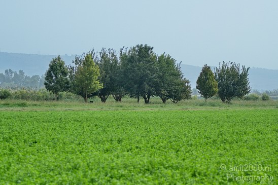 Hula_Valley_Landscape_view_Nature_Photography_012_Canon_EOS_7D.JPG