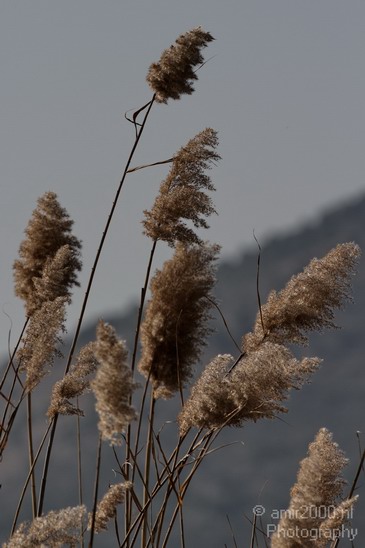 Hula_Valley_winter_Israel_Landscape_Photography_003_Canon_EOS_7D.JPG