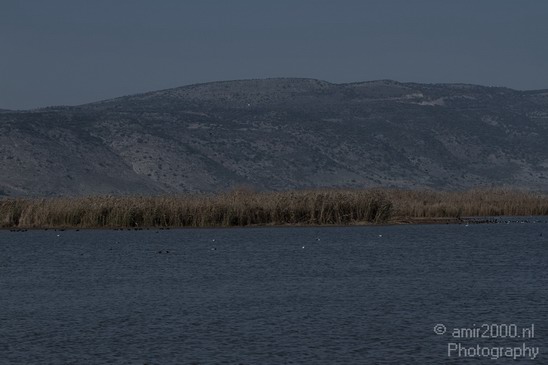 Hula_Valley_winter_Israel_Landscape_Photography_038_Canon_EOS_7D.JPG