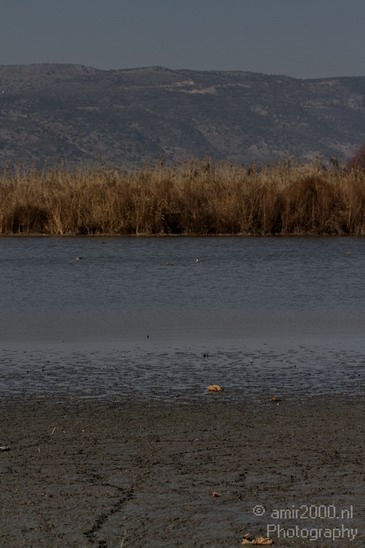 Hula_Valley_winter_Israel_Landscape_Photography_046_Canon_EOS_7D.JPG