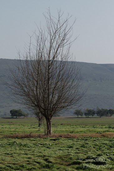 Hula_Valley_winter_Israel_Landscape_Photography_049_Canon_EOS_7D.JPG