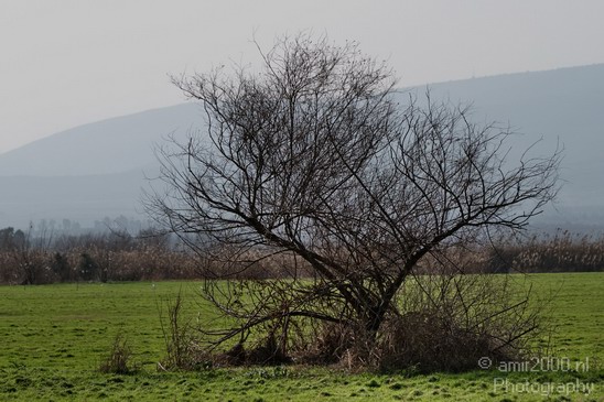 Hula_Valley_winter_Israel_Landscape_Photography_057_Canon_EOS_7D.JPG