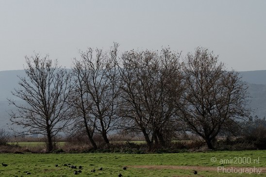 Hula_Valley_winter_Israel_Landscape_Photography_059_Canon_EOS_7D.JPG