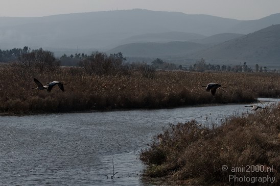 Hula_Valley_winter_Israel_Landscape_Photography_077_Canon_EOS_7D.JPG