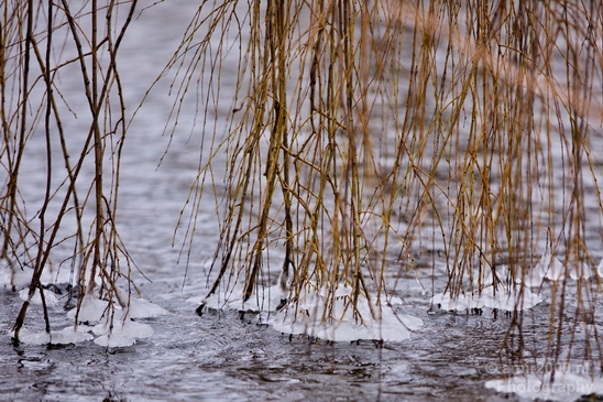 Ice_Amsterdam_under_snow_storm_winter_scenery_nature_Netherlands_Landscape_Photography_003_Canon_EOS_5D_Mark_IV.JPG
