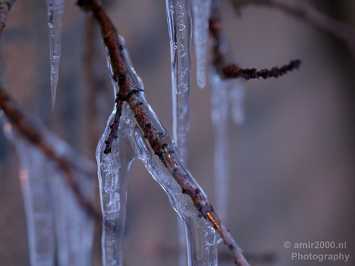 Ice_Amsterdam_under_snow_storm_winter_scenery_nature_Netherlands_Landscape_Photography_017_Canon_EOS_5D_Mark_IV.JPG