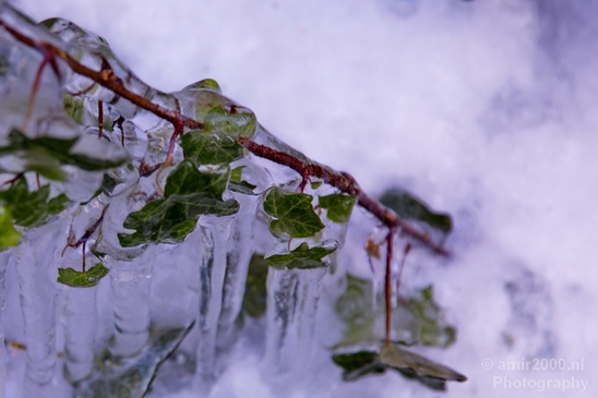 Ice_Amsterdam_under_snow_storm_winter_scenery_nature_Netherlands_Landscape_Photography_025_Canon_EOS_5D_Mark_IV.JPG