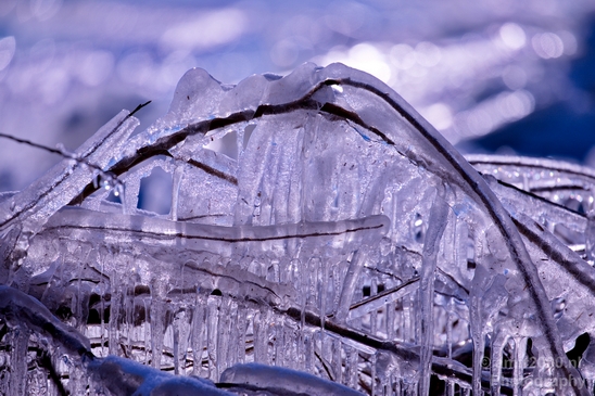 Ice_nature_sculpture_under_snow_storm_winter_scenery_Landscape_Photography_017_Canon_EOS_5D_Mark_IV.JPG