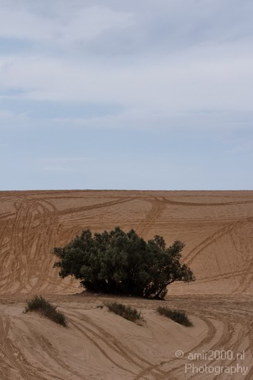 Israel_nature_Landscape_Photography_001_Canon_EOS_7D.JPG