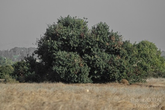 Israel_nature_Landscape_Photography_010_Canon_EOS_7D.JPG