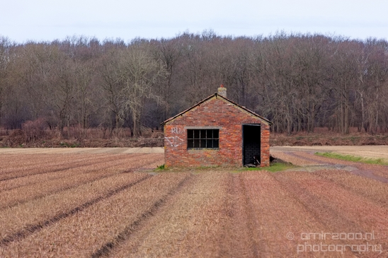Landscape_Amsterdamse_Waterleidingduinen_nature_Amsterdam_Netherlands_Photography_010_Canon_EOS_5D_Mark_IV.JPG