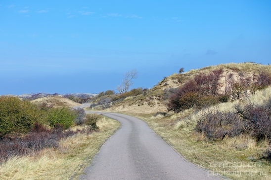 Landscape_Amsterdamse_Waterleidingduinen_nature_Amsterdam_Netherlands_Photography_019_Canon_EOS_5D_Mark_IV.JPG