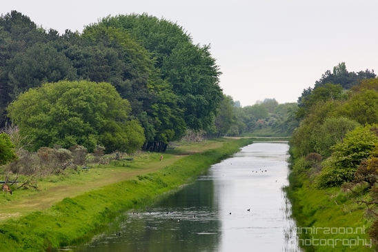 Landscape_Amsterdamse_Waterleidingduinen_nature_Amsterdam_Netherlands_Photography_085_Canon_EOS_5D_Mark_IV.JPG