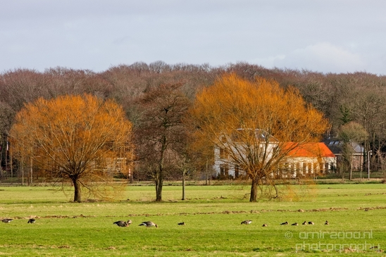 Landscape_Amsterdamse_Waterleidingduinen_nature_Amsterdam_Netherlands_Photography_087_Canon_EOS_5D_Mark_IV.JPG