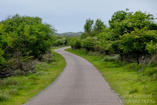 Landscape_Amsterdamse_Waterleidingduinen_nature_Amsterdam_Netherlands_Photography_096_Canon_EOS_5D_Mark_IV.JPG