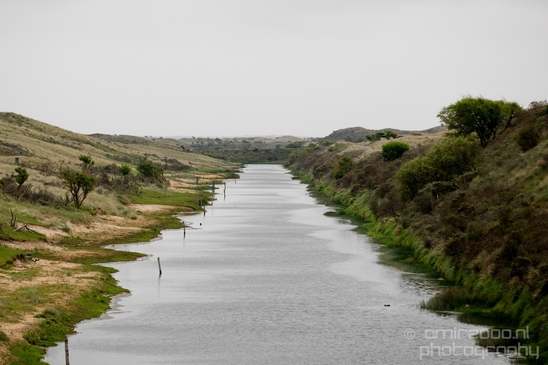 Landscape_Amsterdamse_Waterleidingduinen_nature_Amsterdam_Netherlands_Photography_107_Canon_EOS_5D_Mark_IV.JPG