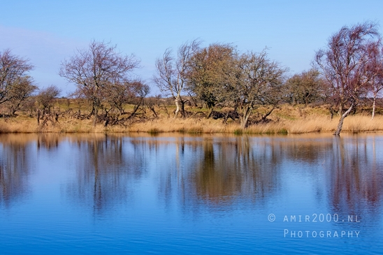 Landscape_Amsterdamse_Waterleidingduinen_nature_Amsterdam_Netherlands_Photography_119_Canon_EOS_5D_Mark_IV.JPG