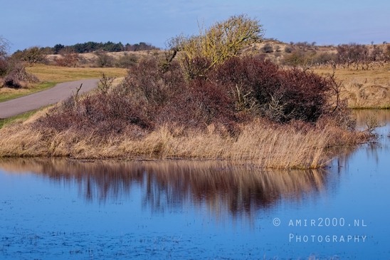 Landscape_Amsterdamse_Waterleidingduinen_nature_Amsterdam_Netherlands_Photography_124_Canon_EOS_5D_Mark_IV.JPG