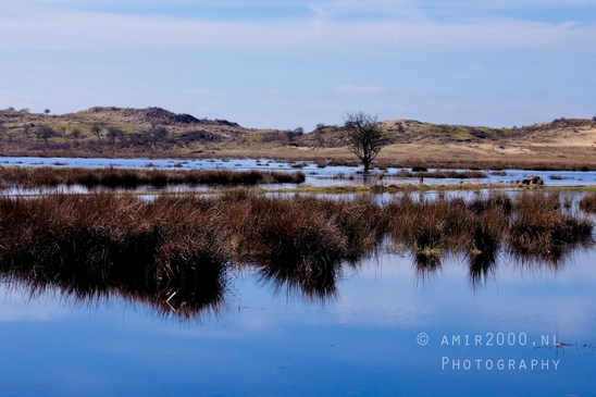 Landscape_Amsterdamse_Waterleidingduinen_nature_Amsterdam_Netherlands_Photography_125_Canon_EOS_5D_Mark_IV.JPG