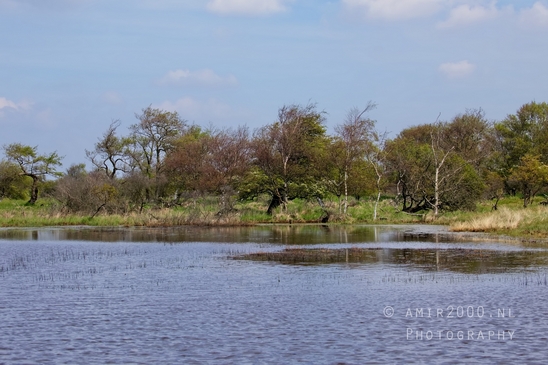 Landscape_Amsterdamse_Waterleidingduinen_nature_Amsterdam_Netherlands_Photography_151_Canon_EOS_5D_Mark_IV.JPG